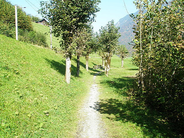 BZahner_012.jpg